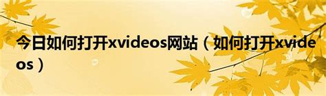 xvideos网站|XVideos